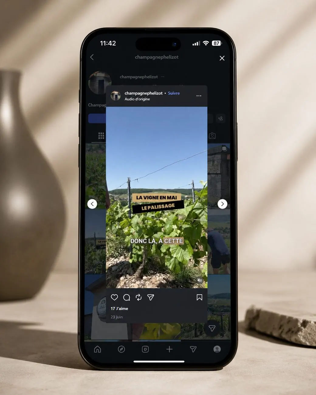Réseaux sociaux pour Champagne Phélizot