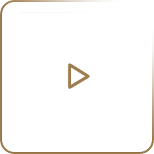 prestation motion design